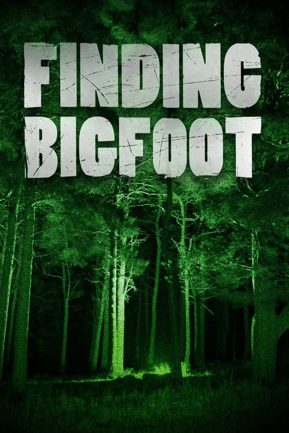 Bigfoot Finding Bigfoot Spooky Forest Wallpaper