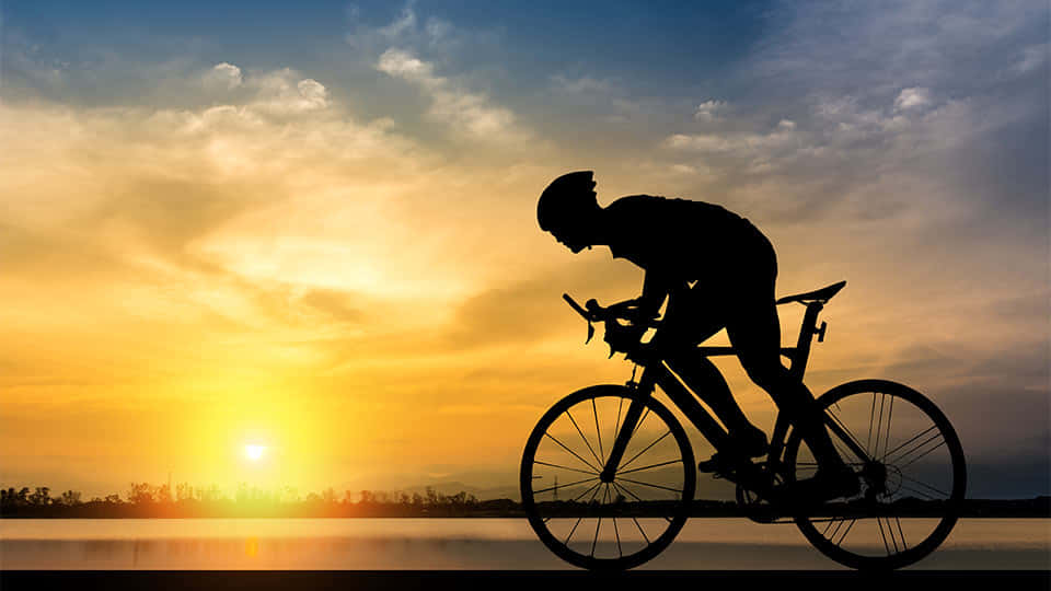 Bike Ride Through Sunrise Wallpaper