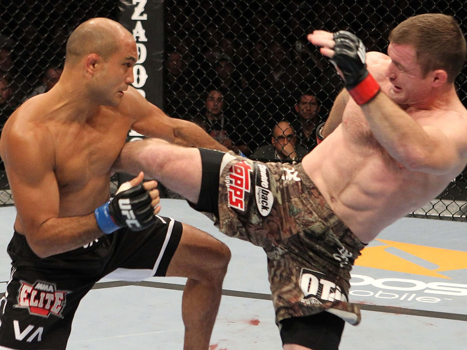 Bj Penn Against Matt Hughes Ufc 123 2010 Wallpaper