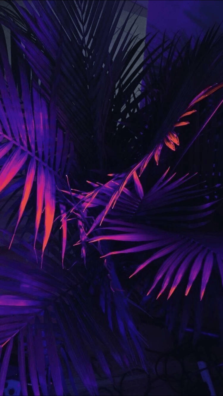 Black And Purple Aesthetic Plant Wallpaper