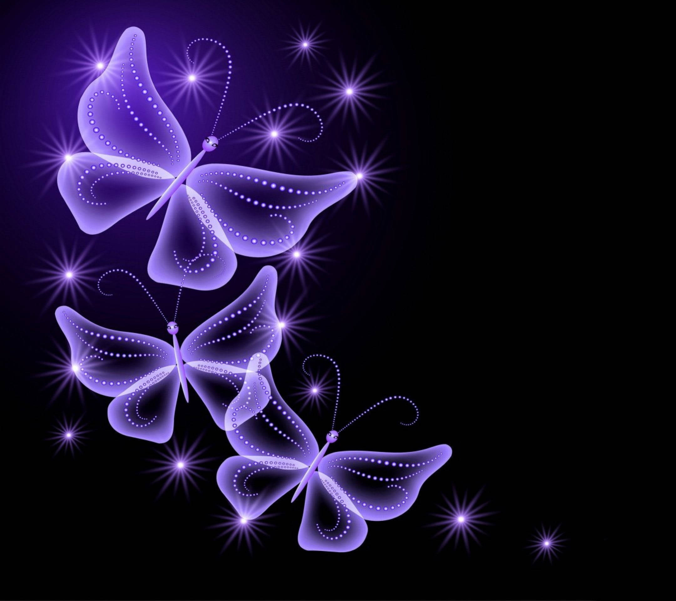 Black And Purple Butterflies Wallpaper