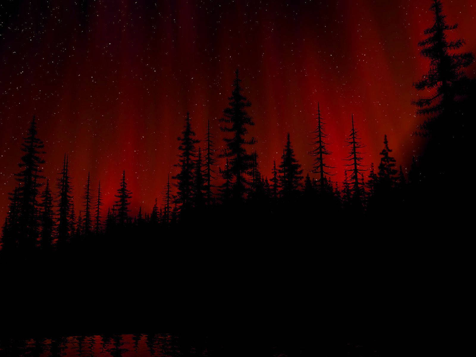 Black And Red Forest Wth Trees Wallpaper