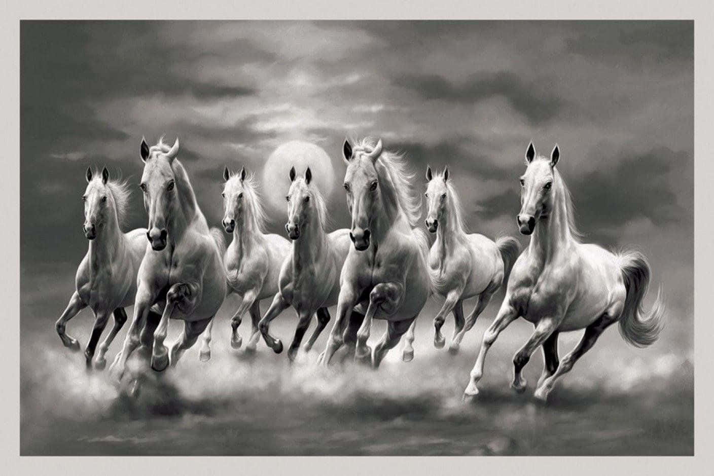 Black And White 7 White Horses Wallpaper