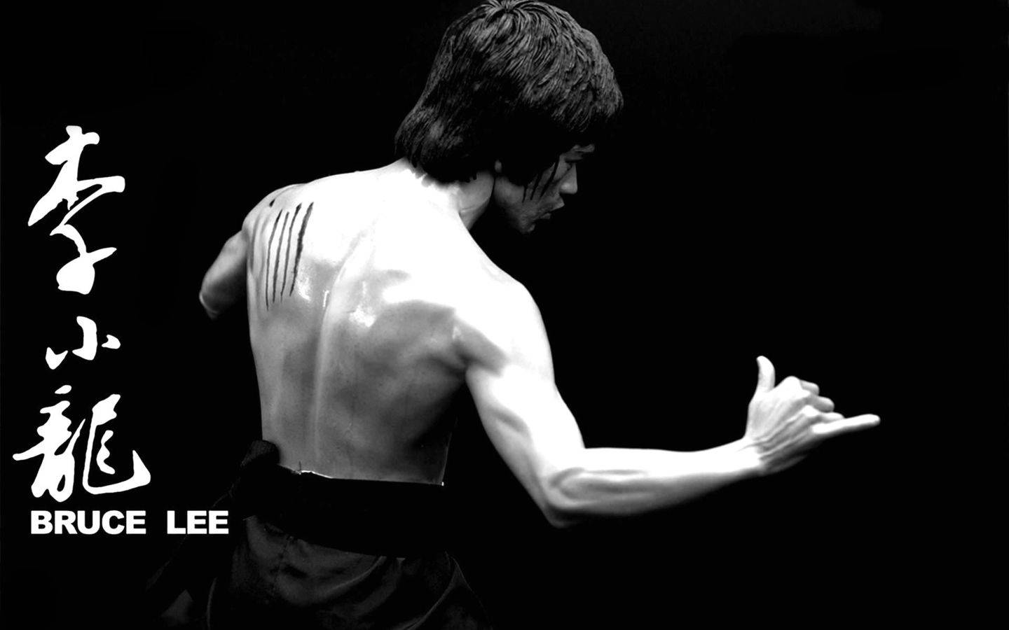 Black And White Bruce Lee Wallpaper
