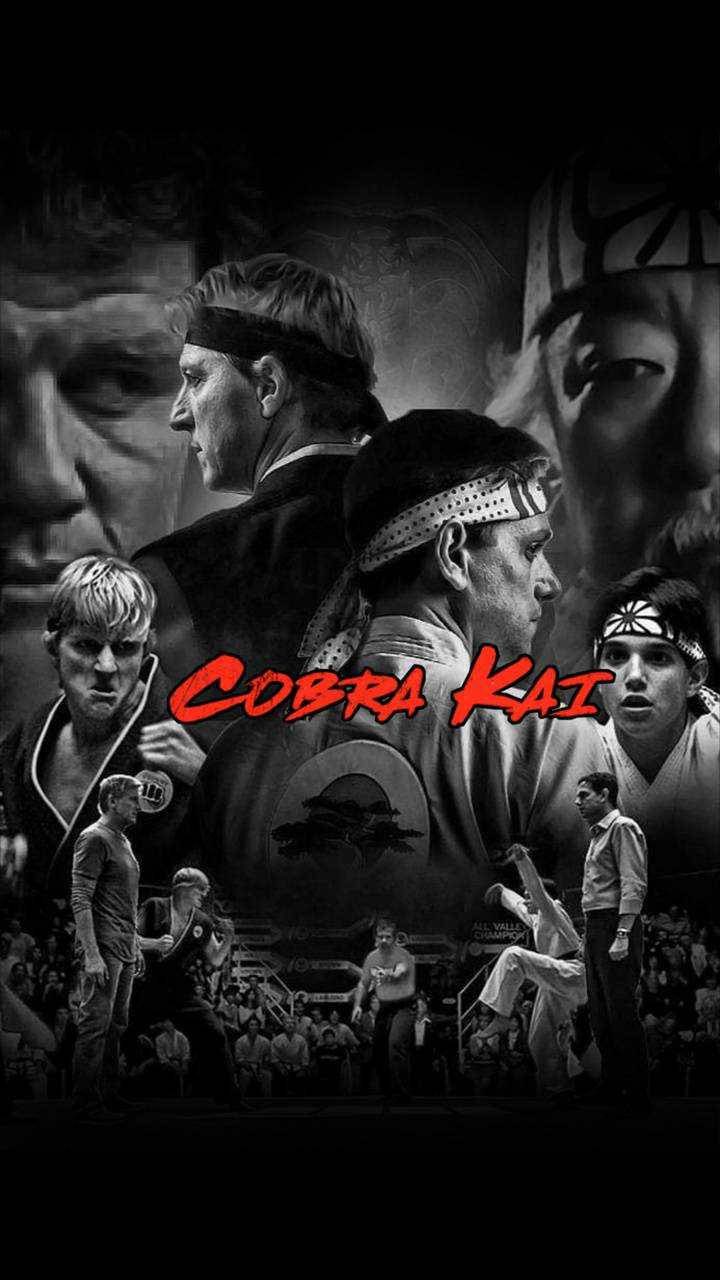 Black And White Cobra Kai Phone Wallpaper