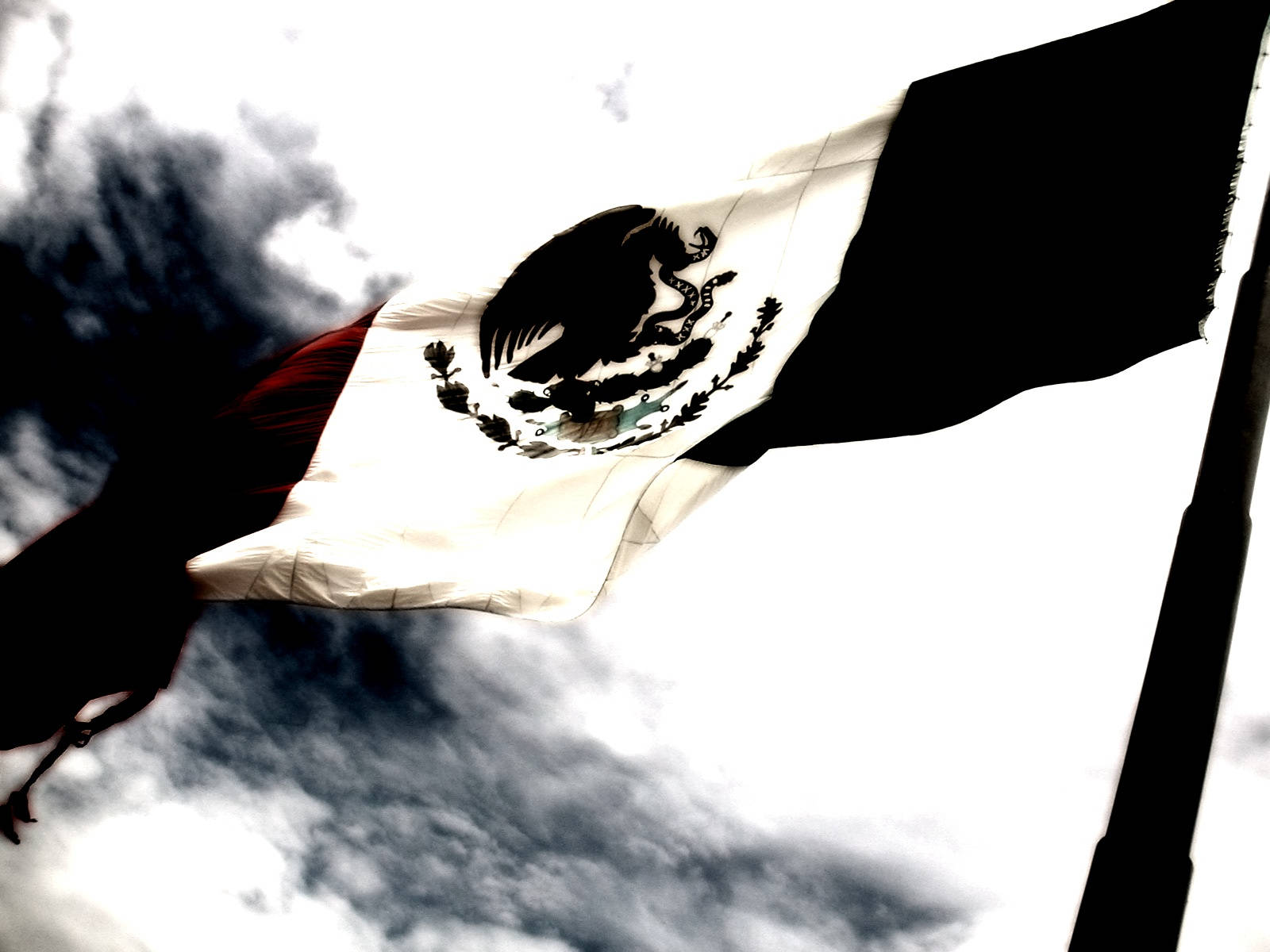 Black And White Mexico Flag Wallpaper