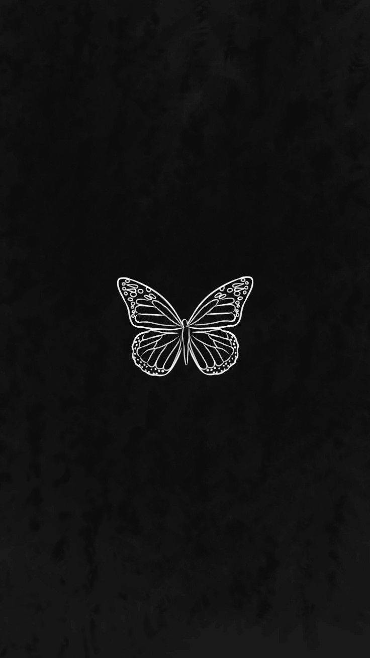 Black Butterfly In Dark Backdrop Wallpaper