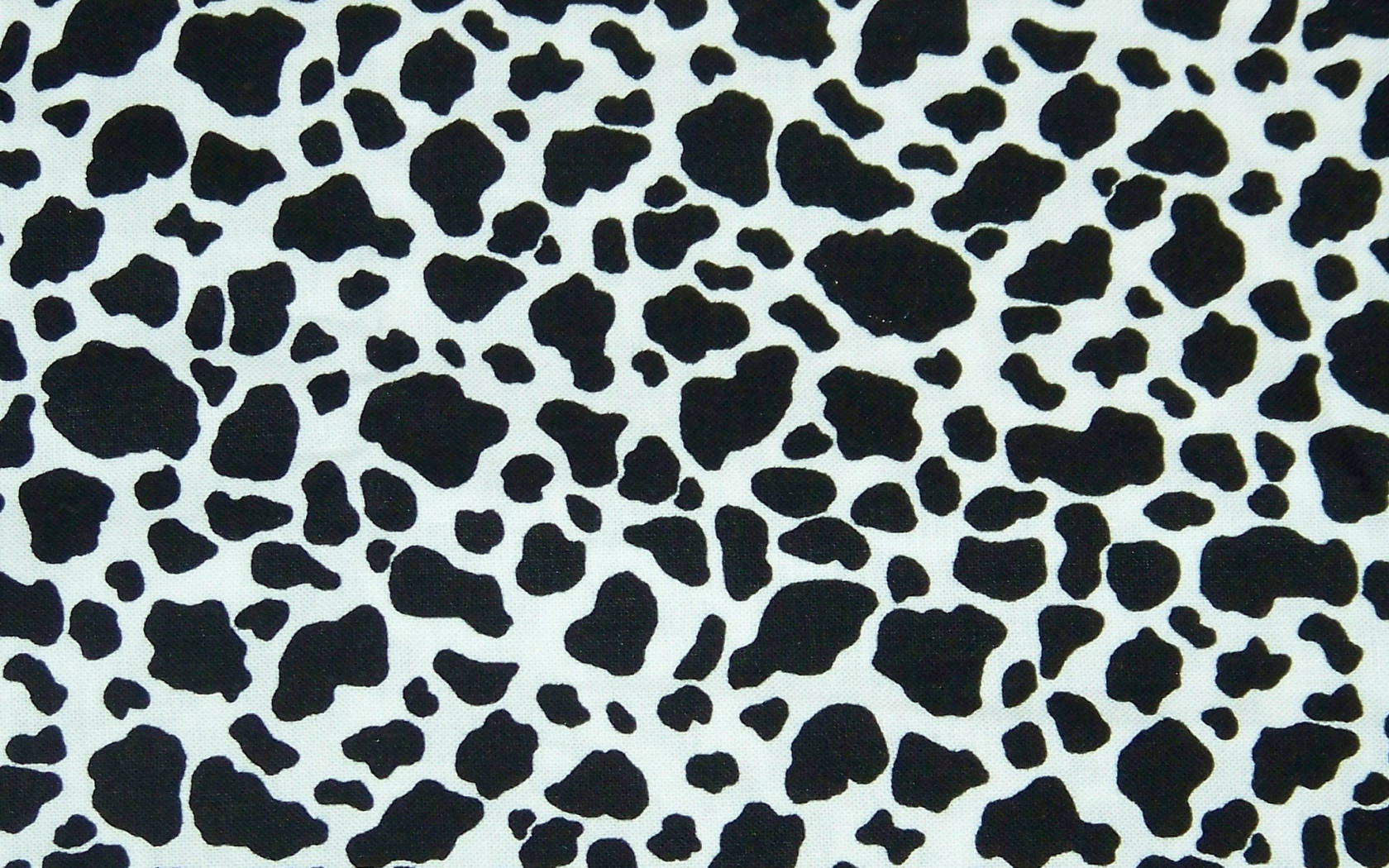 Black Cow Patterns Wallpaper