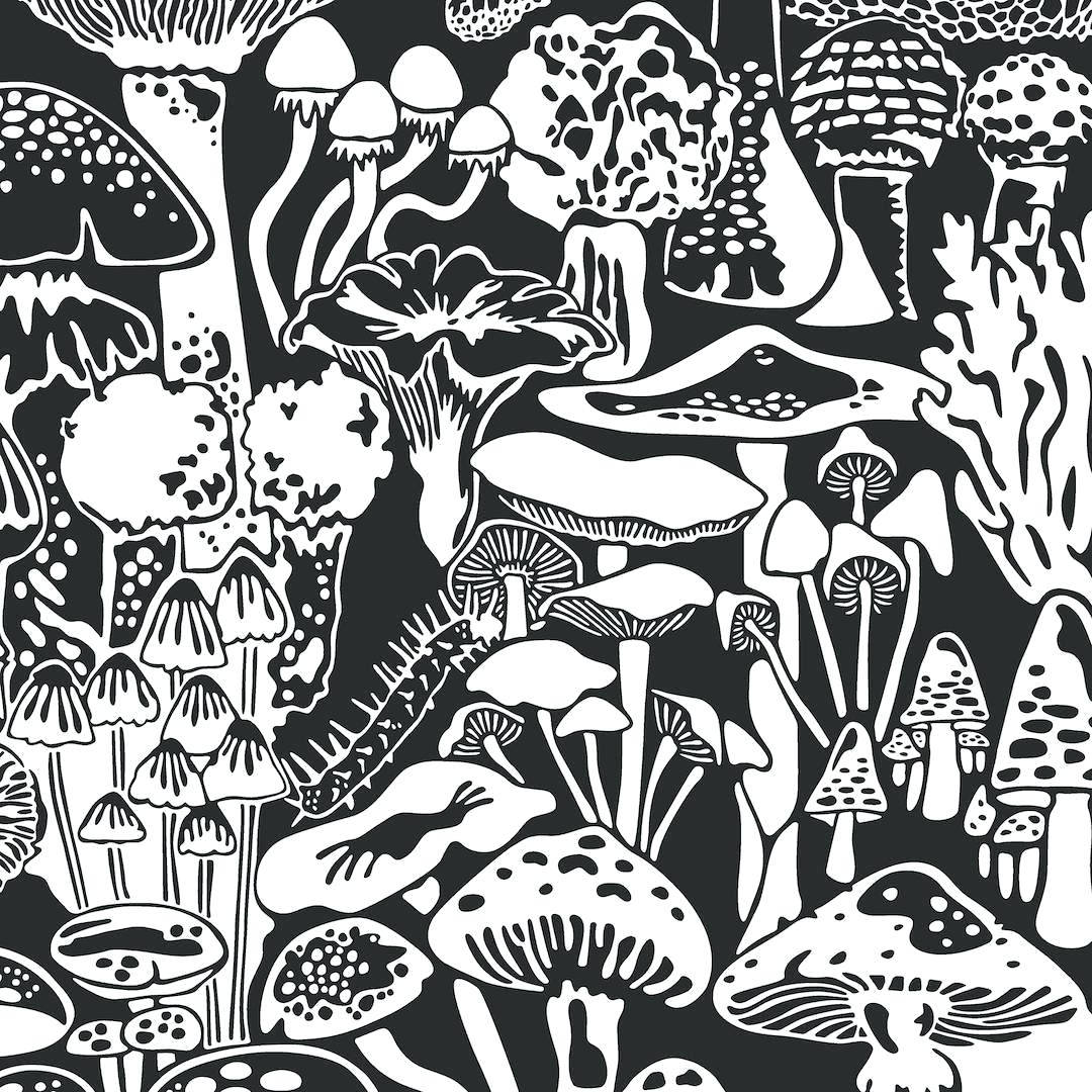 Black Trippy Mushrooms Wallpaper