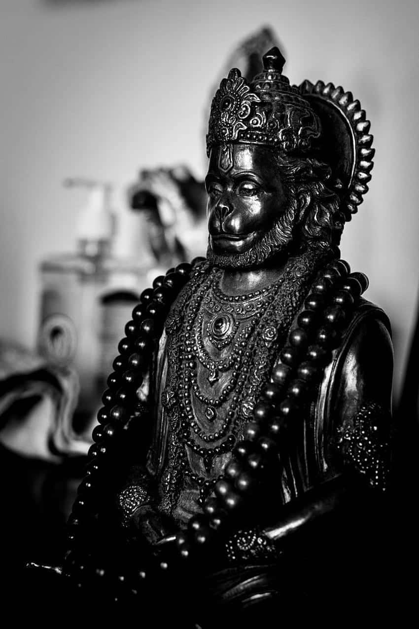 Blackand White Hanuman Statue Wallpaper