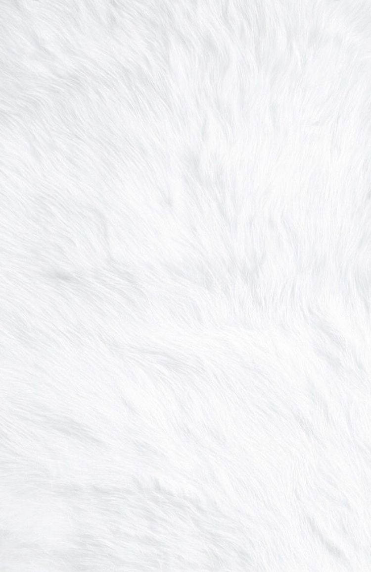 Blank White Fur Texture Wallpaper