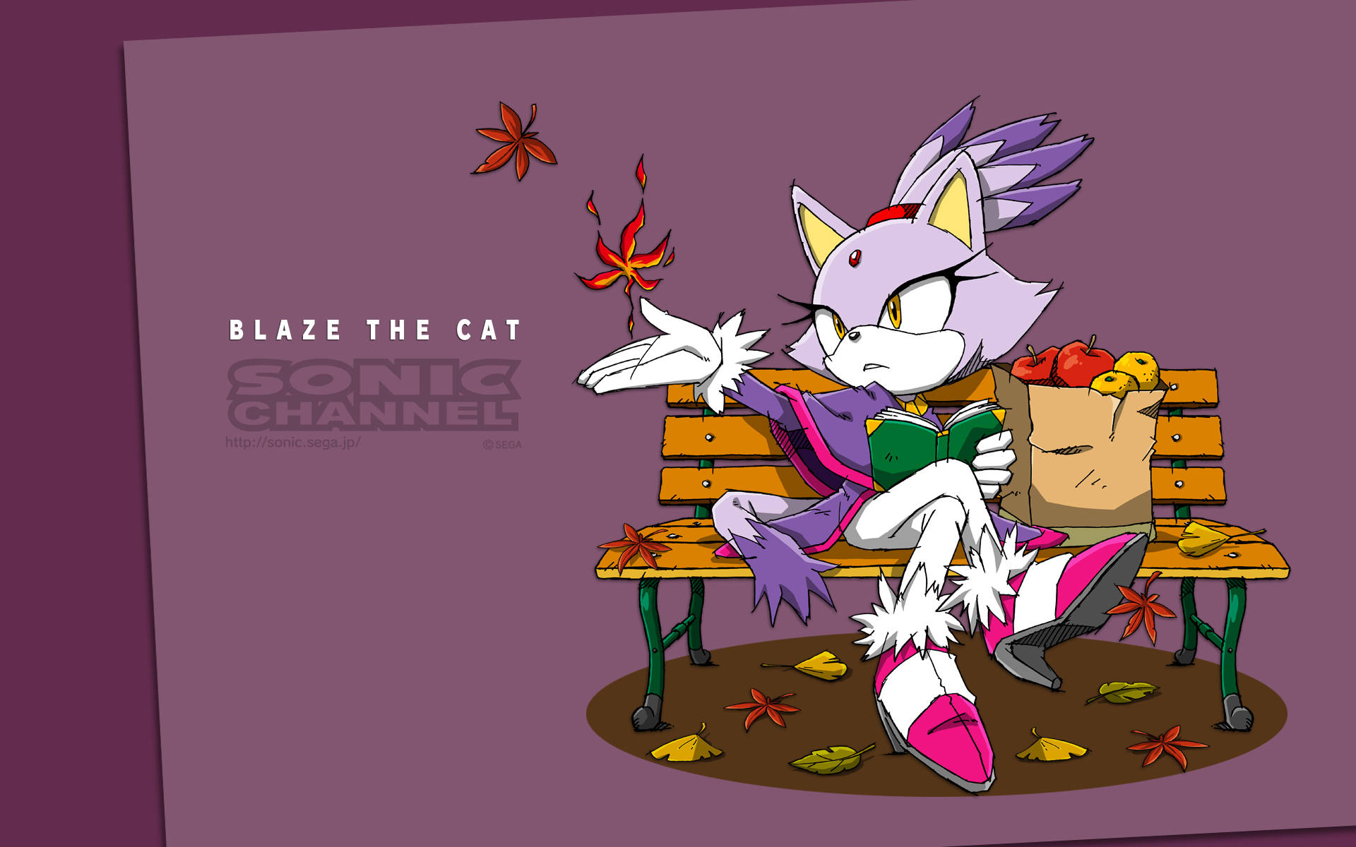 Download free Blaze The Cat Sonic The Hedgehog Wallpaper - MrWallpaper.com