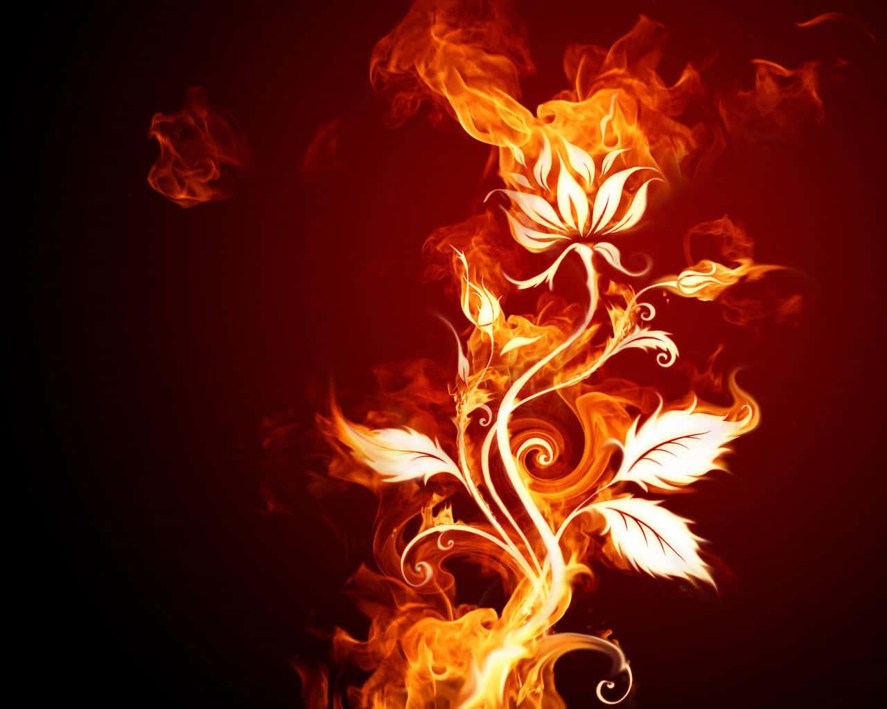 Blazing In Red And Orange Wallpaper