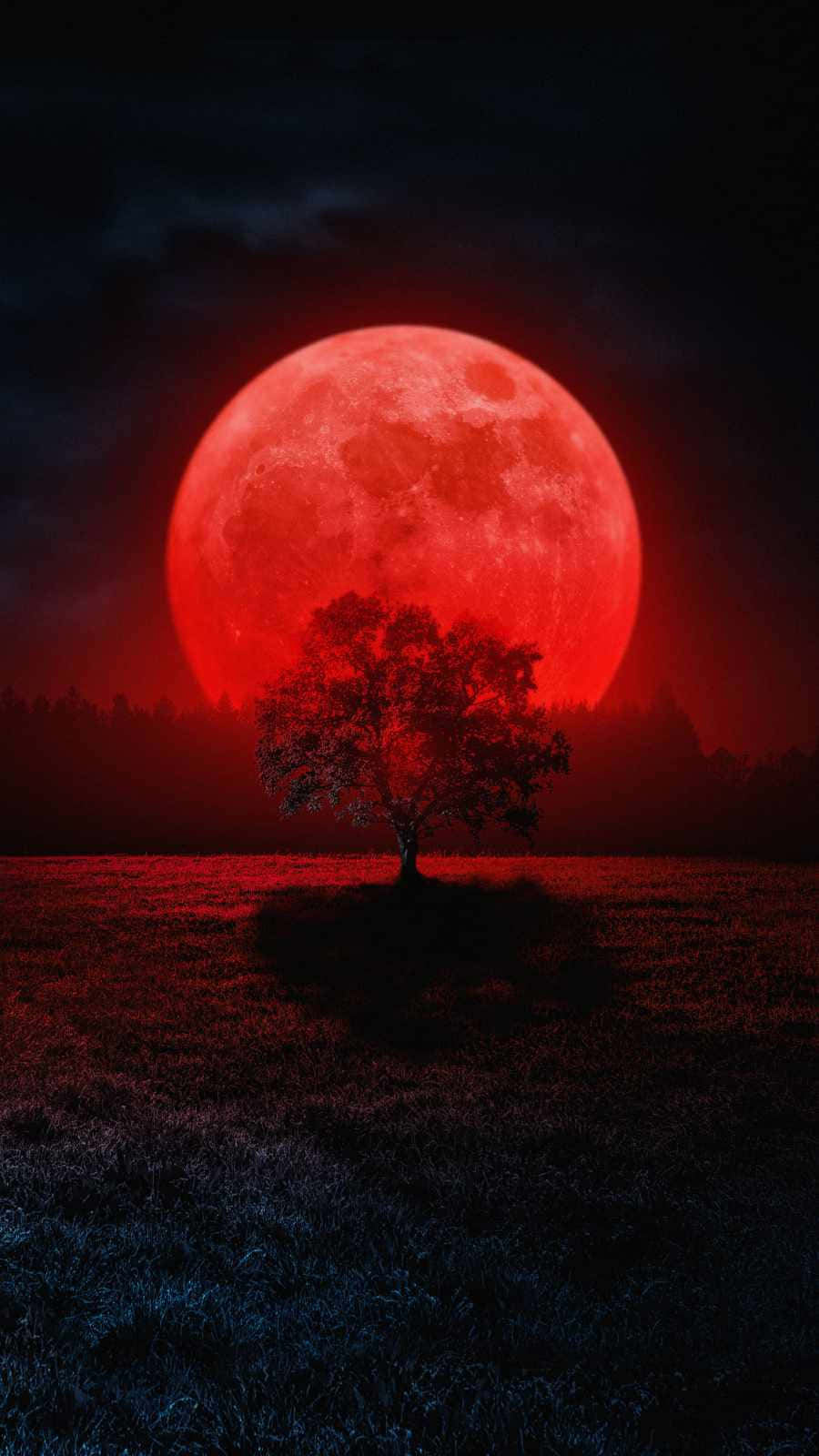 Blood Moon Tree Wallpaper