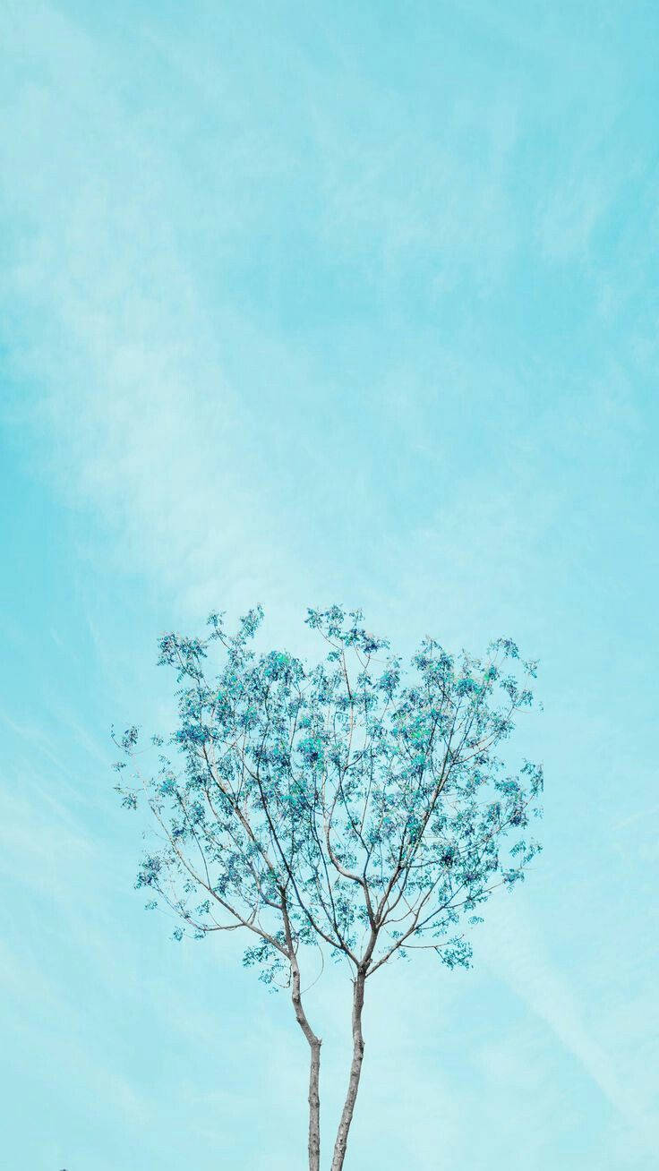 Blue Aesthetic Tree Wallpaper