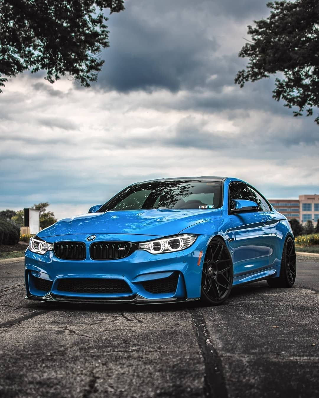 Blue Bmw Parked Beside Trees Wallpaper