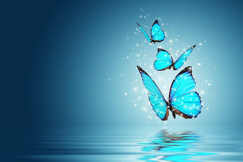 Blue Butterflies Full Desktop Screen Hd Wallpaper