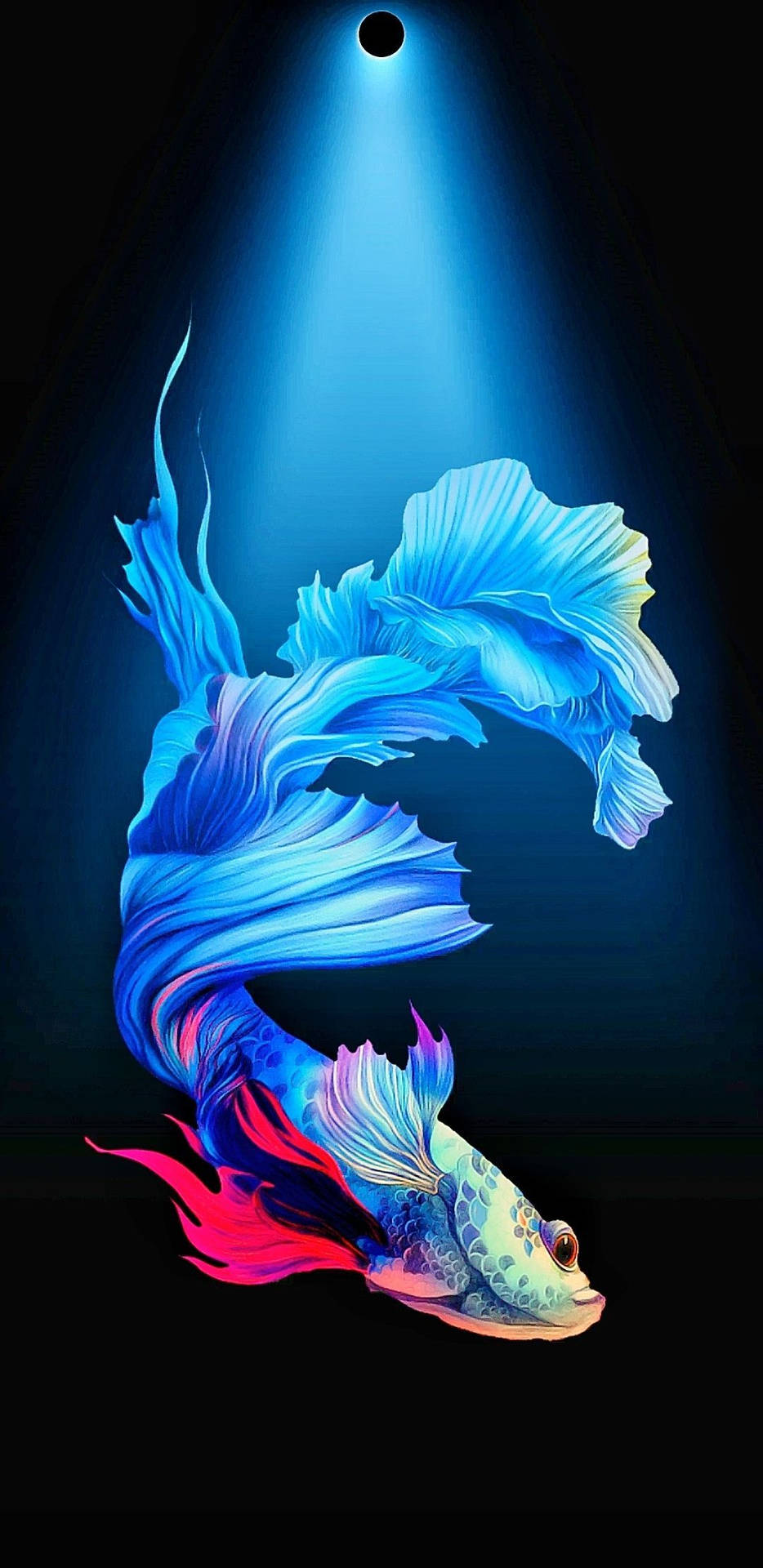 Blue Fish Samsung Wallpaper