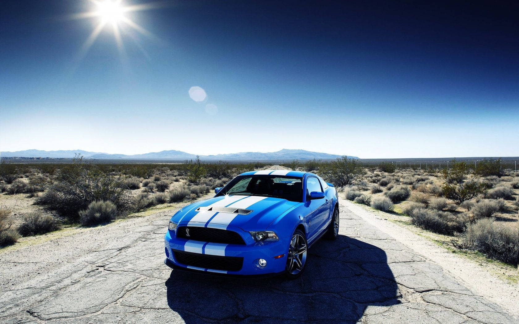 Blue Ford Shelby Gt500 Wallpaper