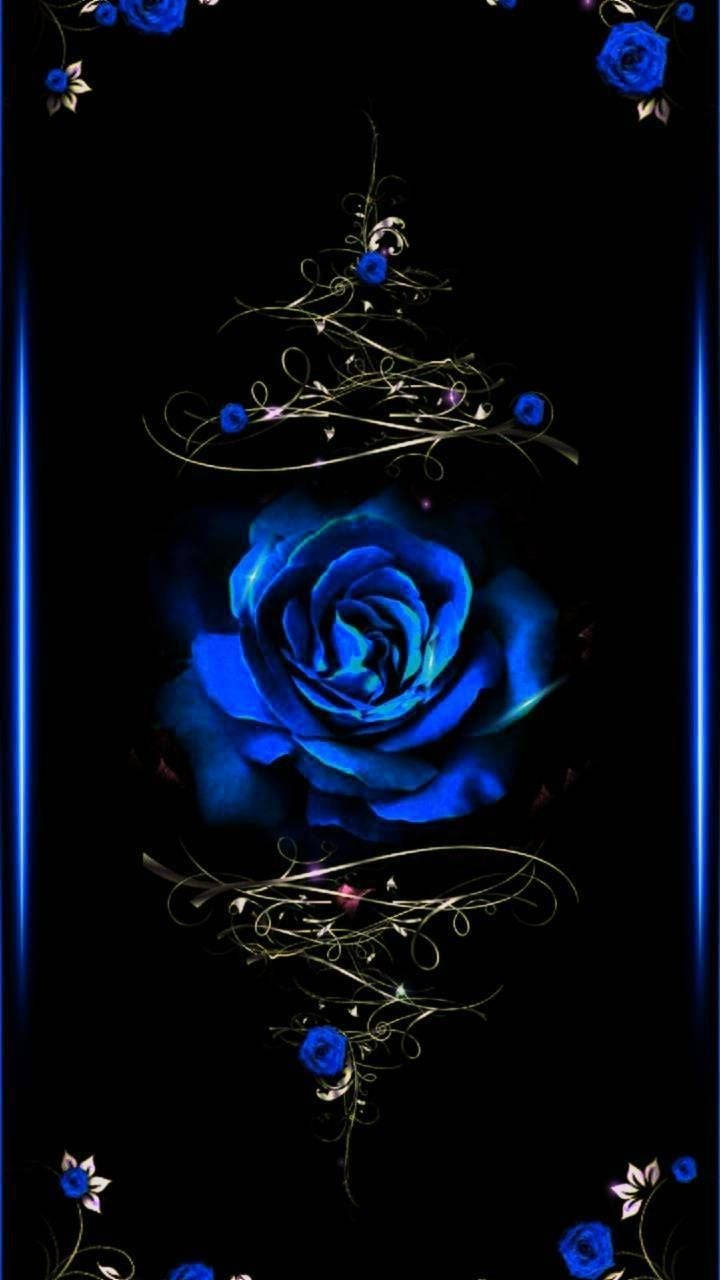 Blue Rose Wallpaper - Wallpapers For Pc Wallpaper