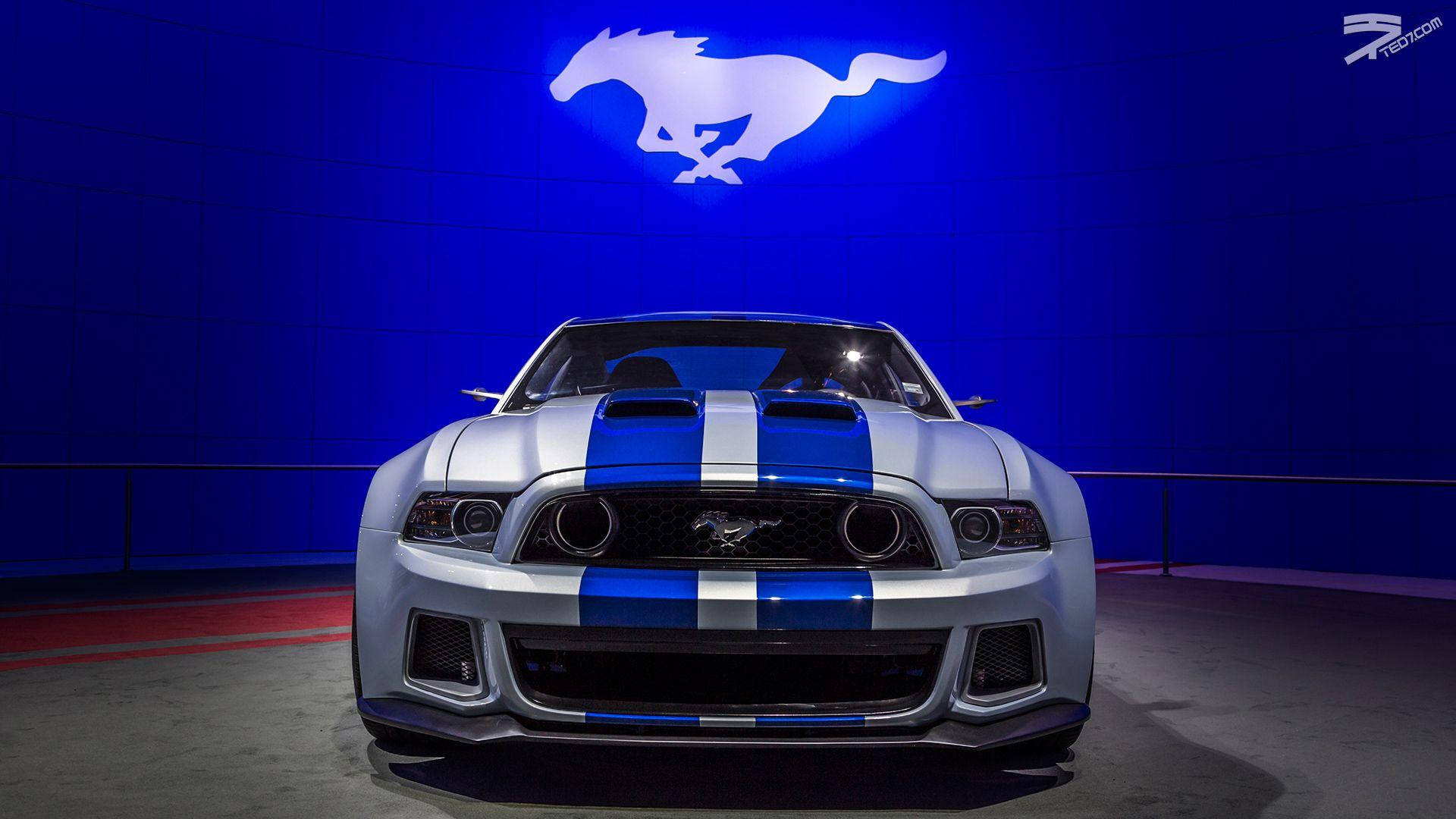 Blue Striped Ford Mustang Wallpaper