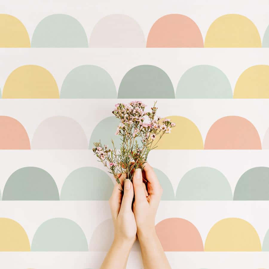 Boho Pastel Aesthetic Wall Decor Wallpaper