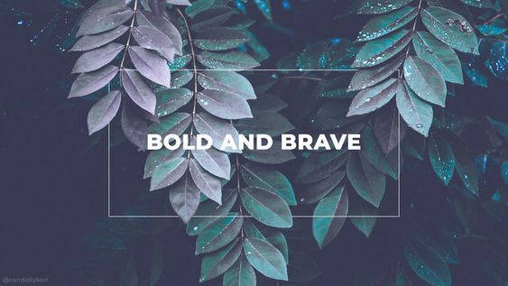 Bold And Brave Facebook Cover Wallpaper