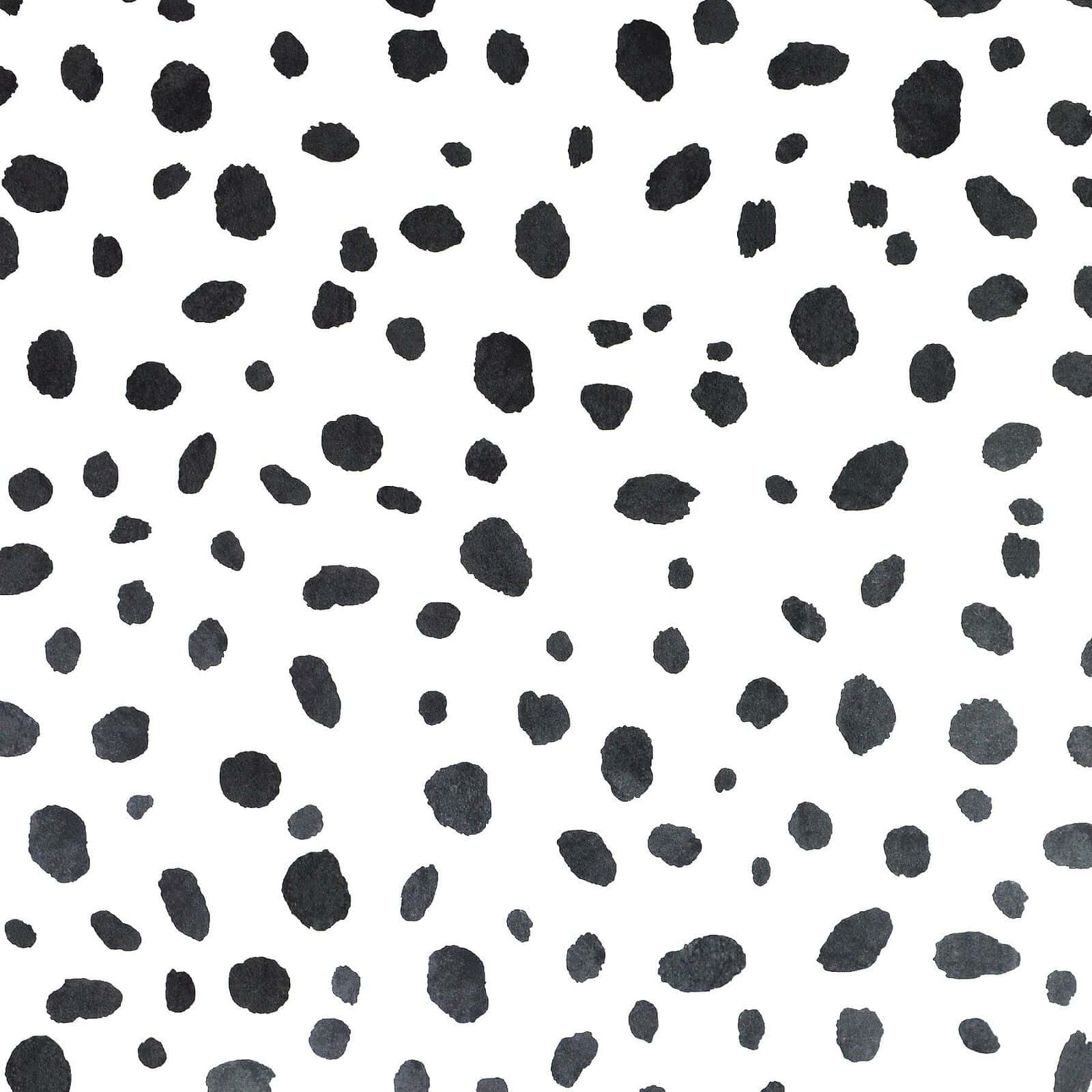 Bold Black And White Animal Print Wallpaper Wallpaper