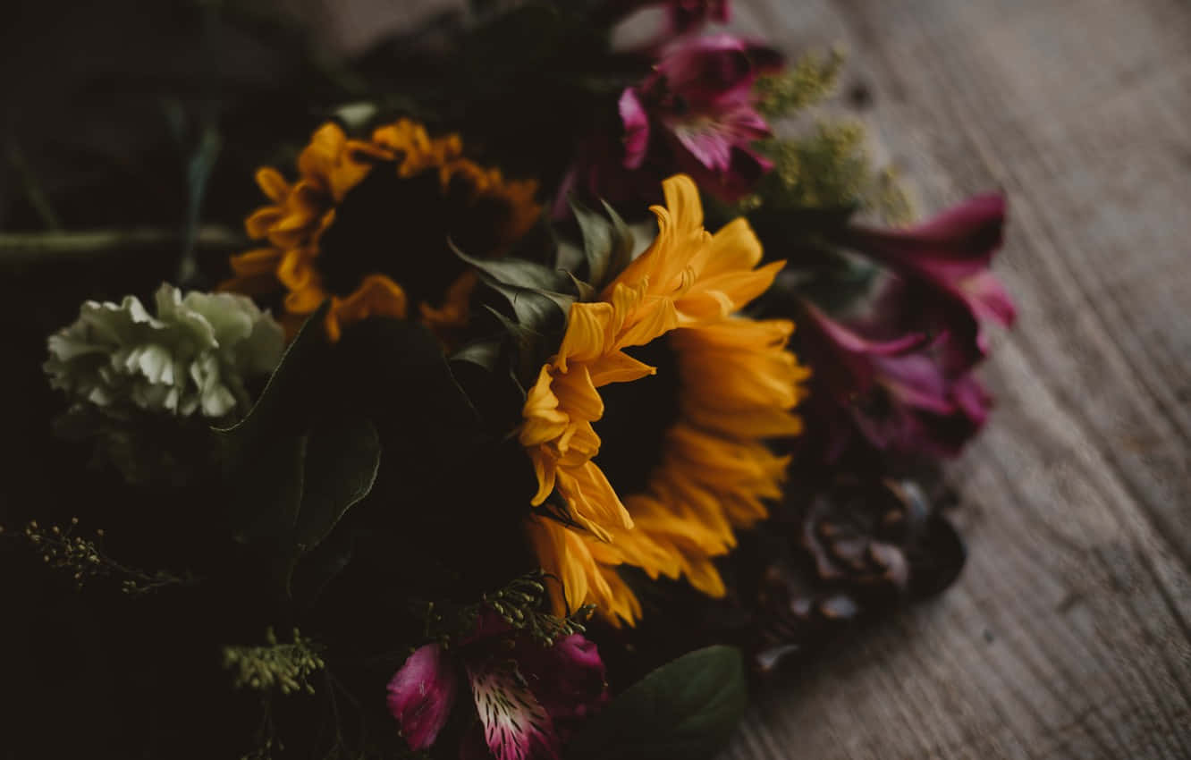 Bold, Unique Dark Sunflower Wallpaper