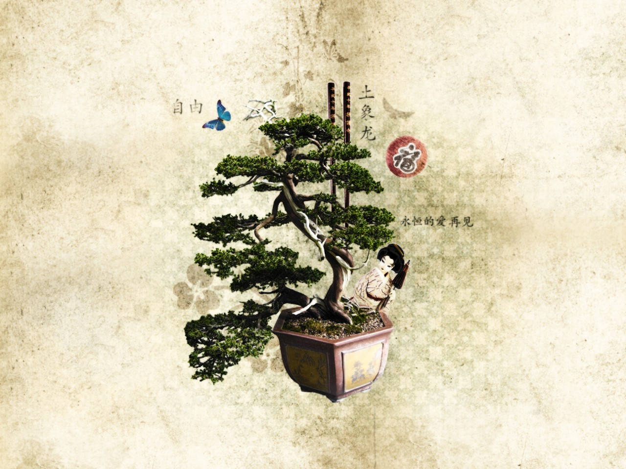 Bonsai Tree Moyogi Style Plant Photography Wallpaper