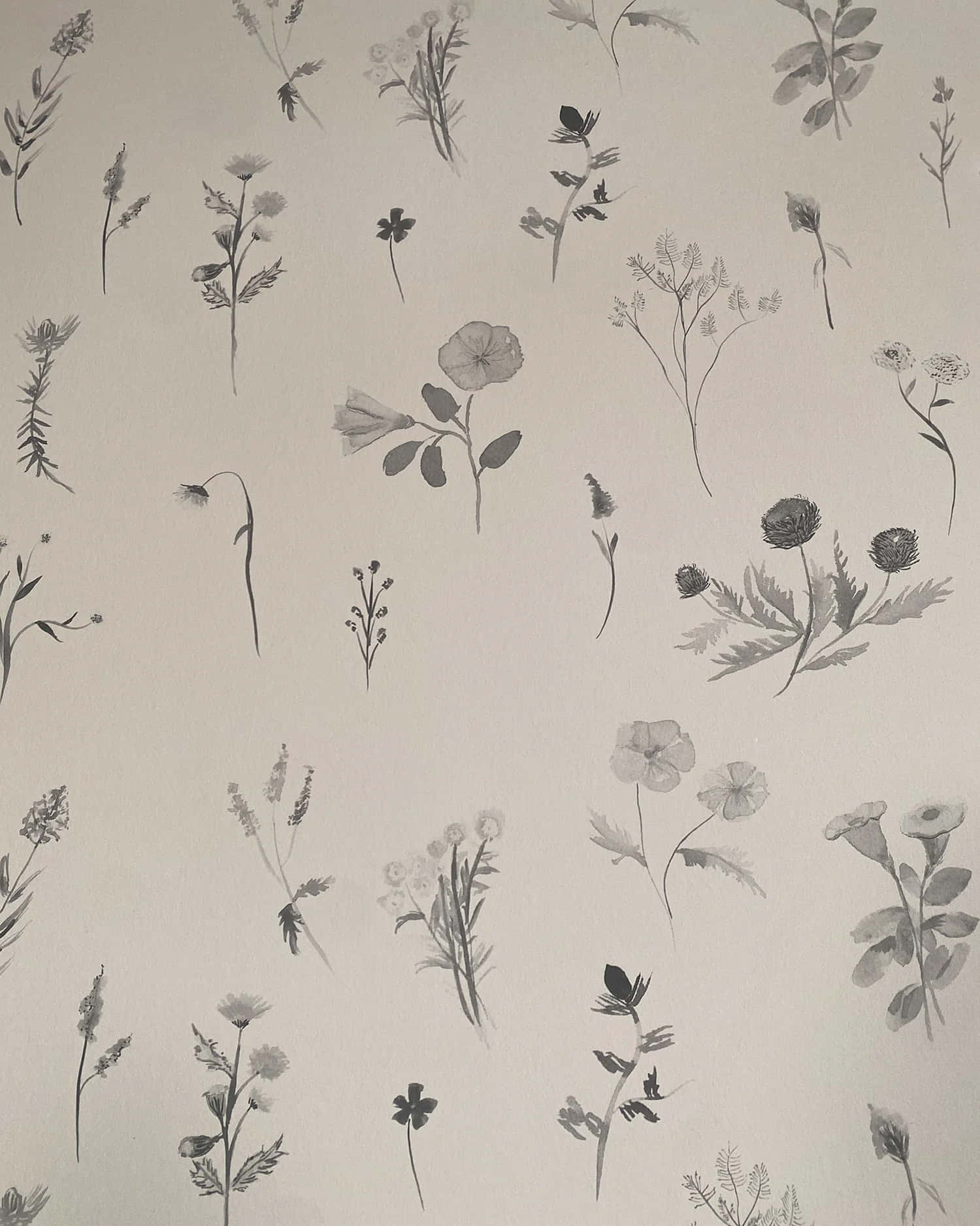 Botanical Sketch Wallpaper Pattern Wallpaper