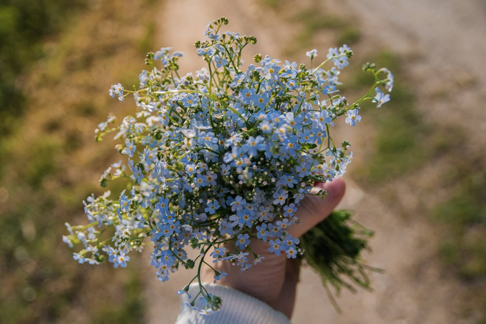 Bouquet Of Forget Me Not Flowers Wallpaper