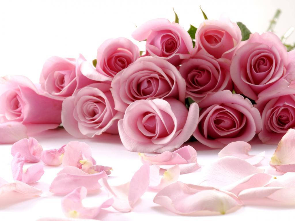 Bouquet Of Pink Rose Flowers Wallpaper