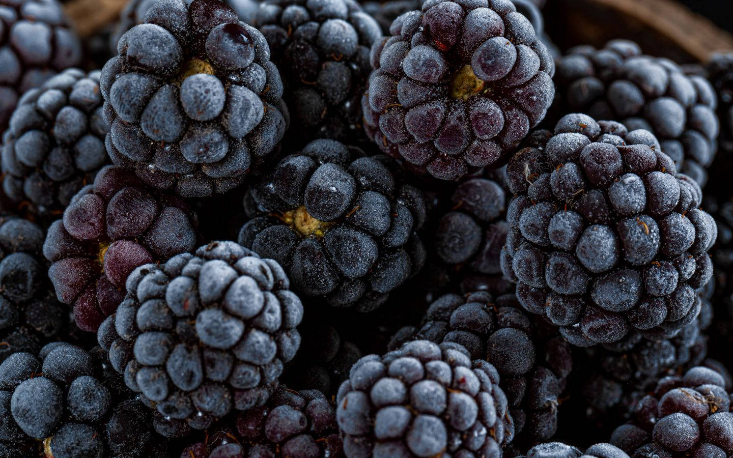 Boysenberry Antioxidants Rich Wallpaper