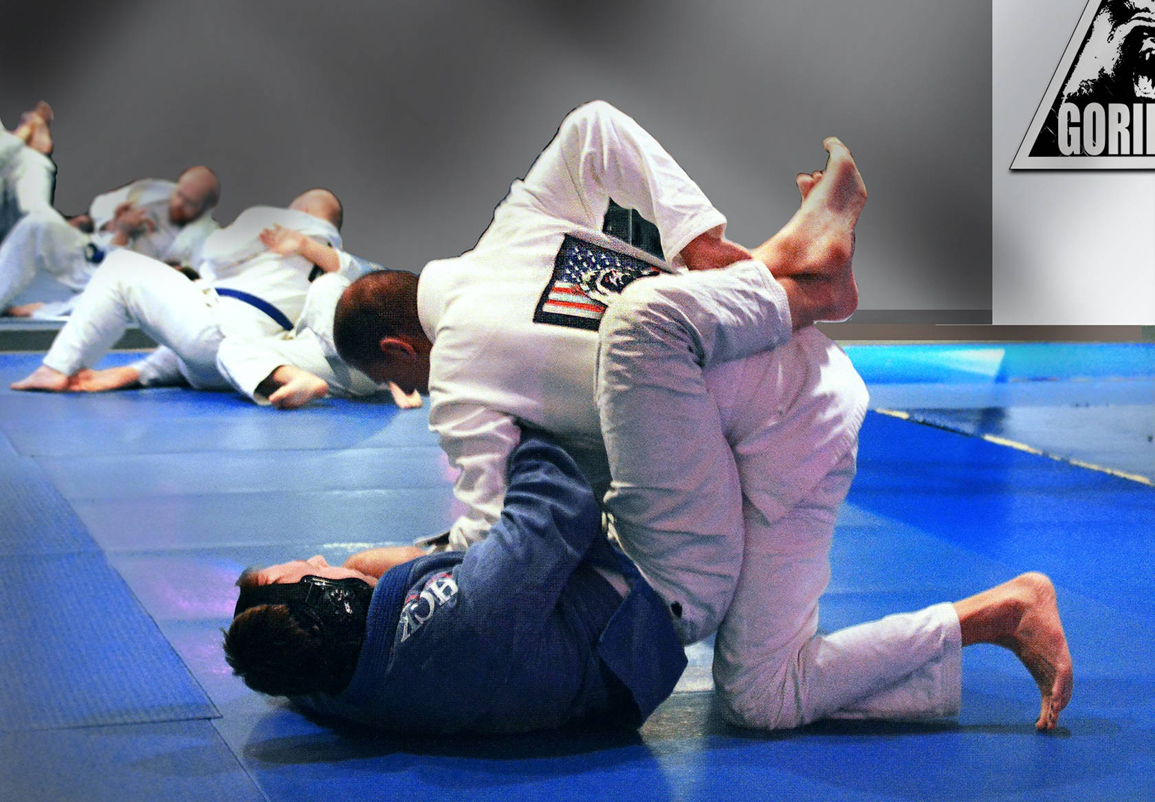 Brazilian Jiu-jitsu Pin Down Wallpaper