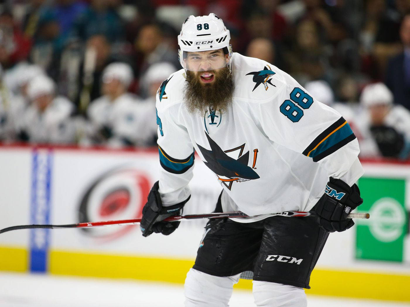 Brent Burns San Jose Sharks Game Face On Wallpaper