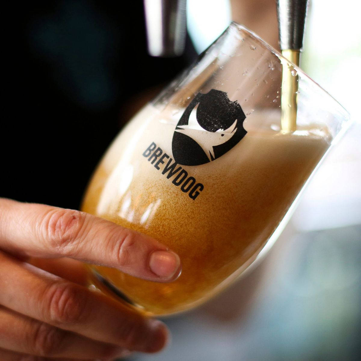 Brewdog Beer Foam In Glass Wallpaper