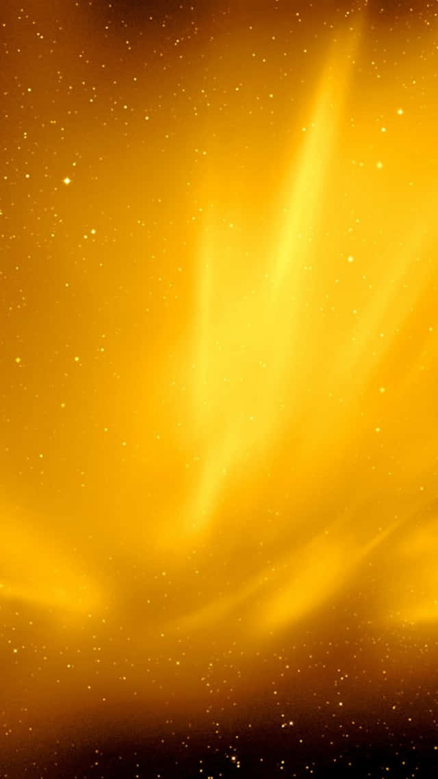 Brighten Up Your Day With A Cool Orange! Wallpaper