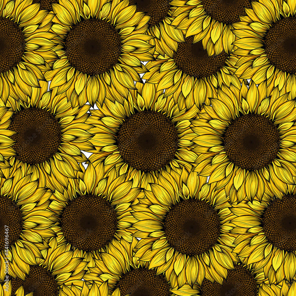 Brighten Up Your Day With A Sunny Yellow Sunflower. Wallpaper