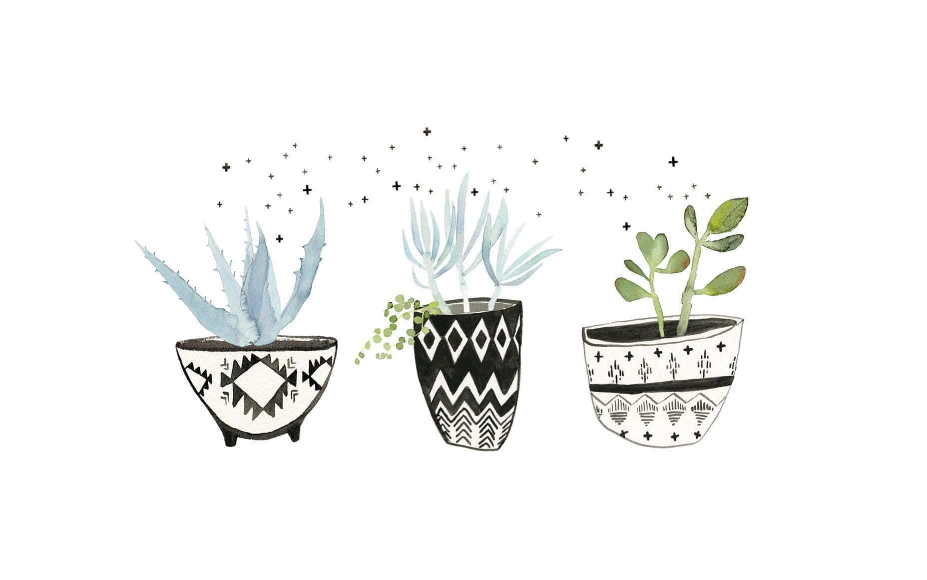 Bring The Beauty Of Nature To Your Workspace With A Plant Aesthetic Laptop. Wallpaper