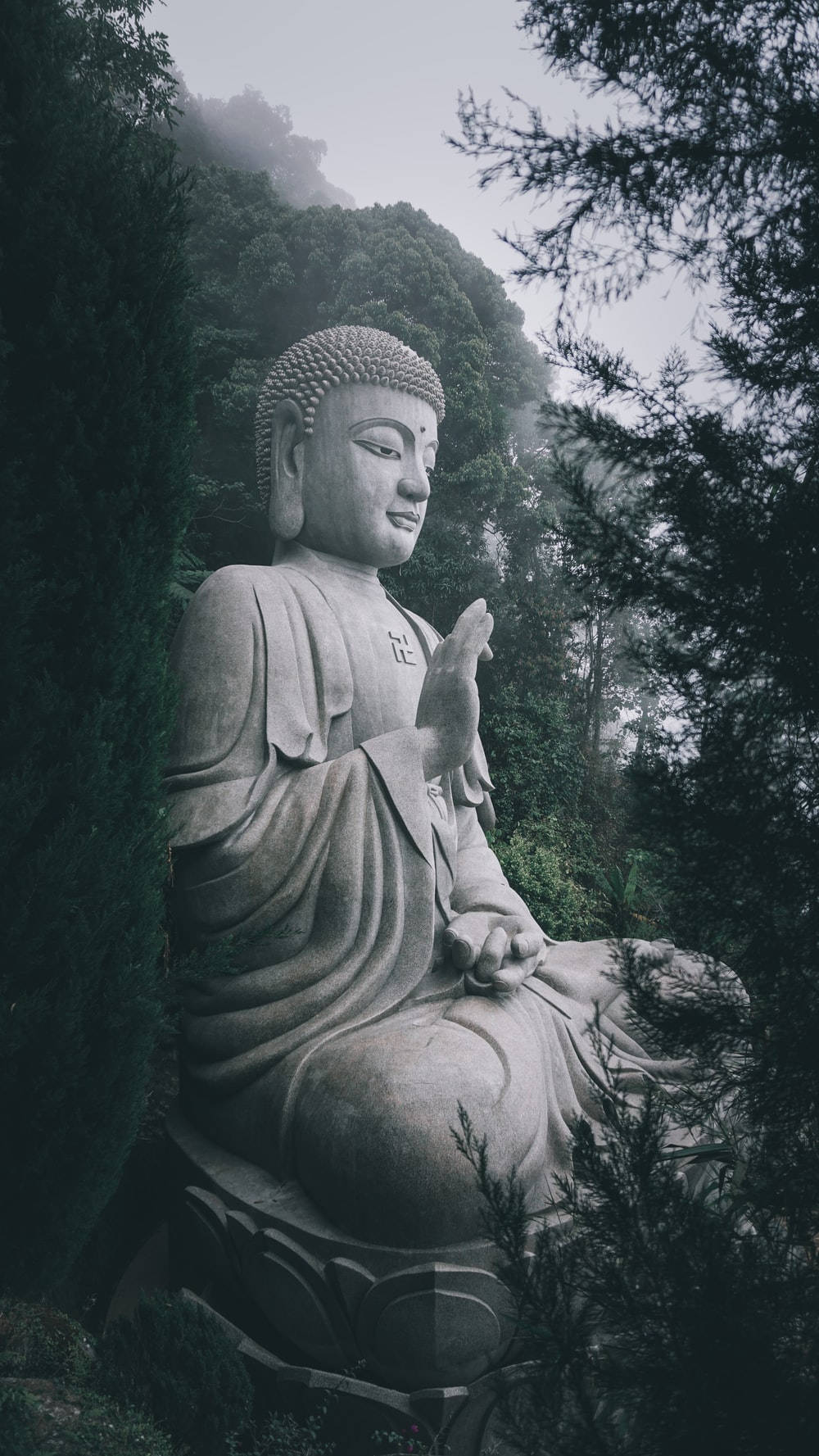 Buddha 3d In A Forest Wallpaper