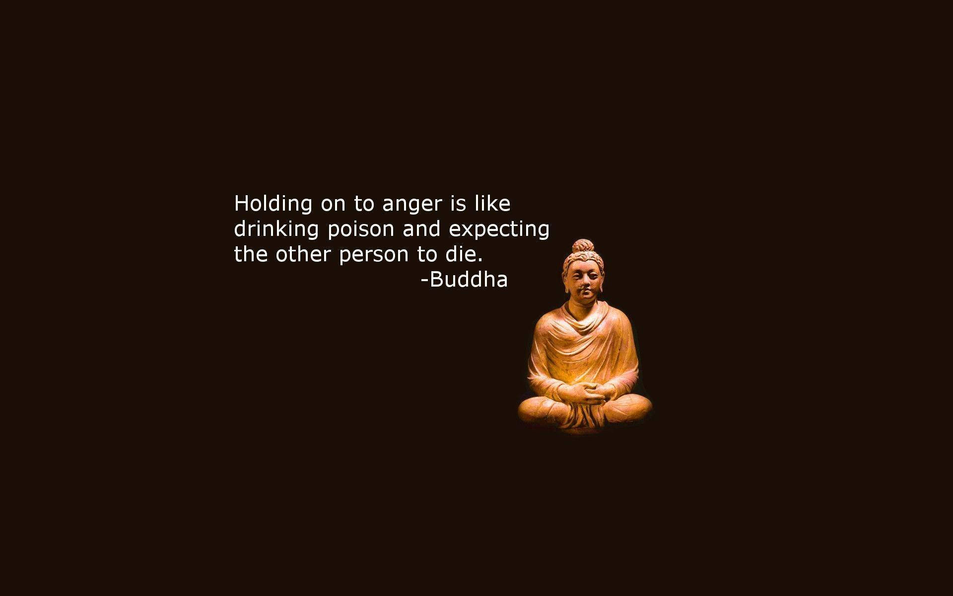 Buddha Quotes Drinking Poison Wallpaper