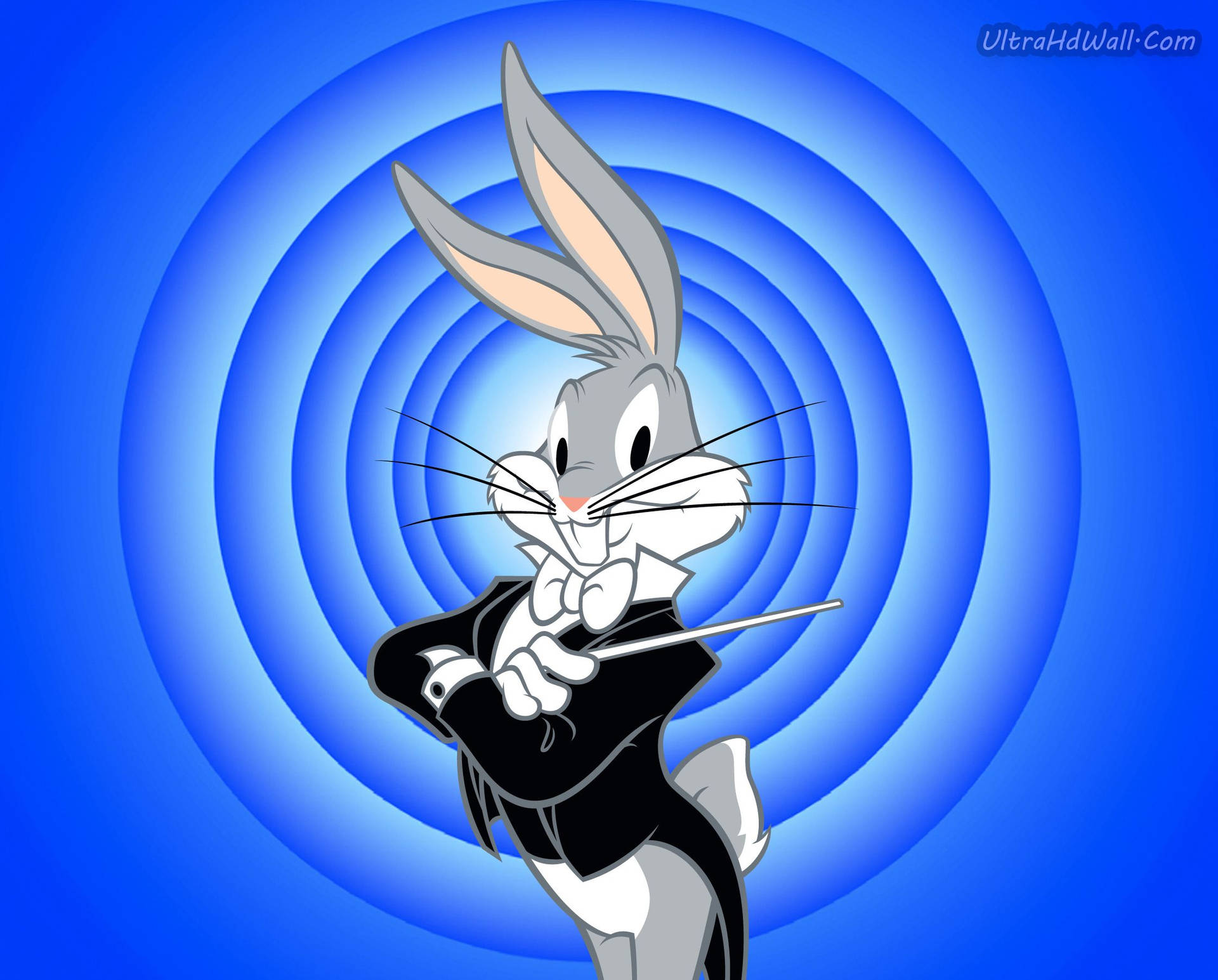 Download free Bugs Bunny The Magician Wallpaper - MrWallpaper.com