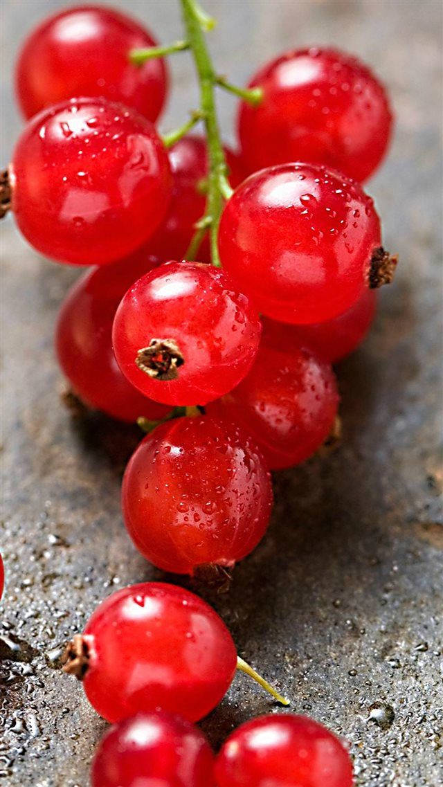 Bunch Of Cranberries Wallpaper