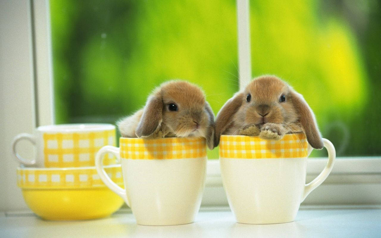 Bunnies In Yellow Tea Cups Wallpaper