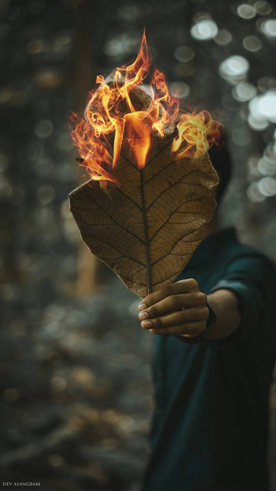 Burning Leaf Hd Photography Wallpaper