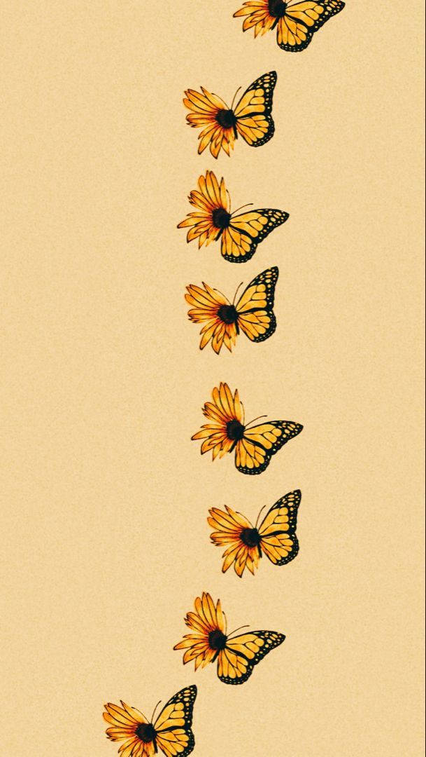 Butterflies And Sunflowers Wallpaper