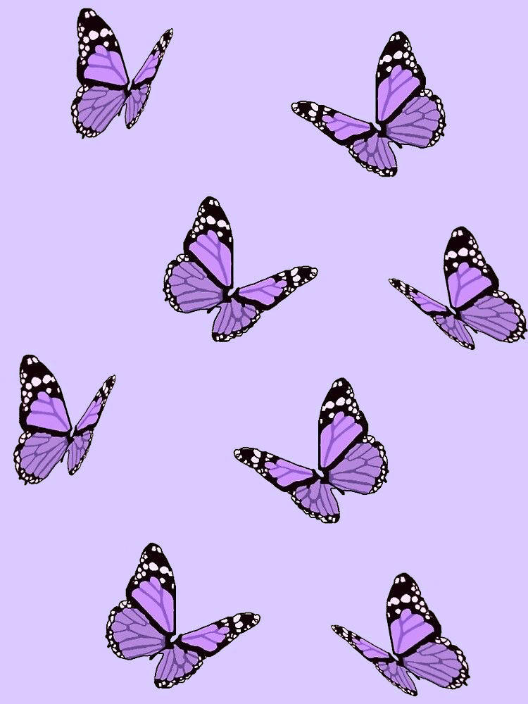 Butterfly Aesthetic Purple Iphone Wallpaper