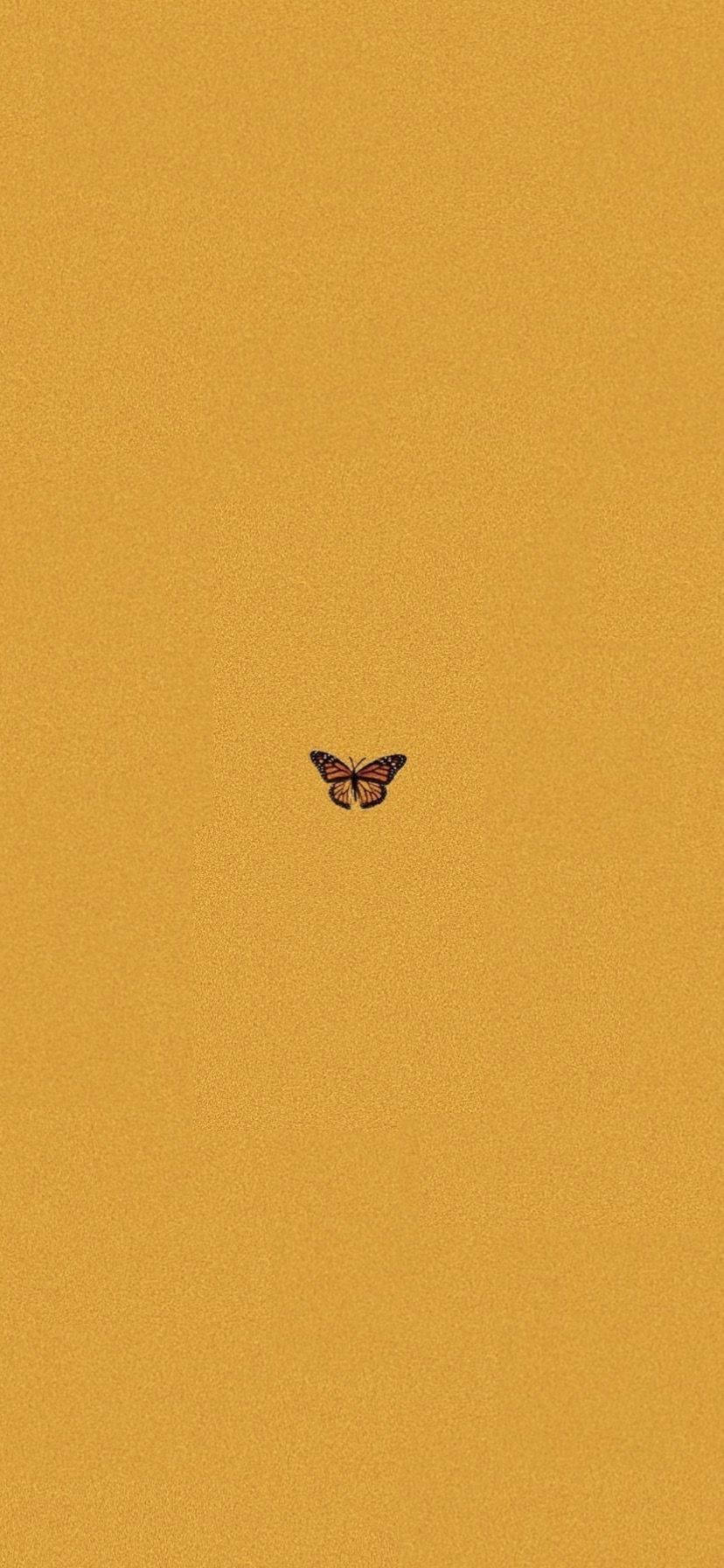 Butterfly Aesthetic Yellow Mustard Wallpaper