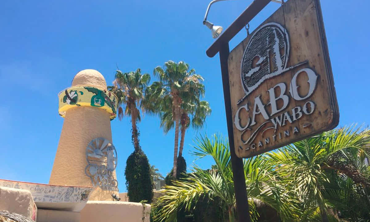 Cabo Wabo Cantina Signand Tower Wallpaper